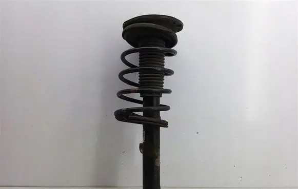 Peugeot 206 CC Front shock absorber with coil spring