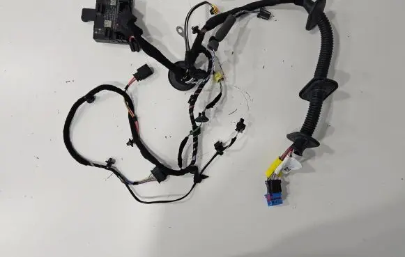 Front door wiring loom