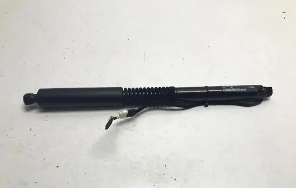 Tailgate/trunk strut/damper