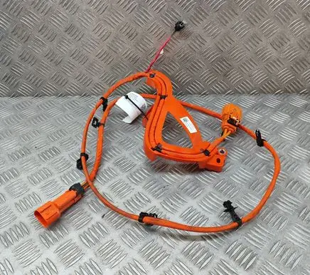 Tesla Model Y Other wiring loom 150797105D