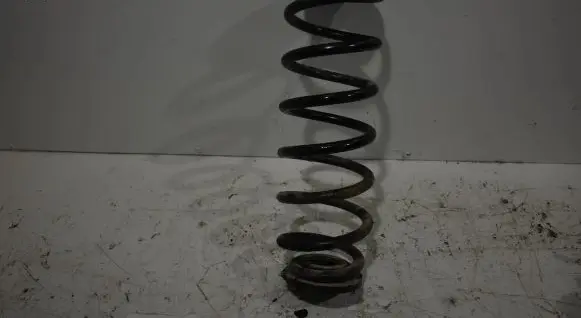 Volkswagen Tiguan Rear coil spring