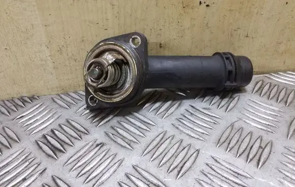 Thermostat/thermostat housing