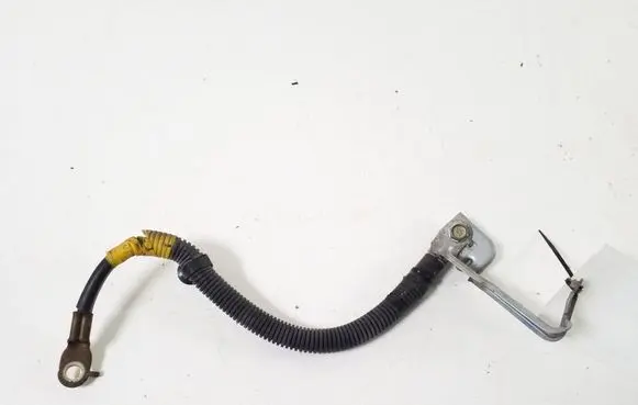 Other wiring loom