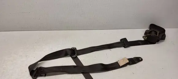 Rear seatbelt