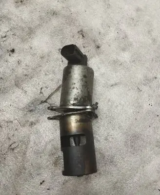 EGR valve