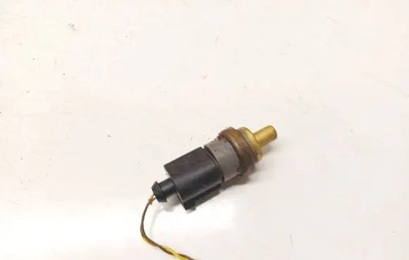 Skoda Octavia Mk2 (1Z) Coolant temperature sensor 06a919501
