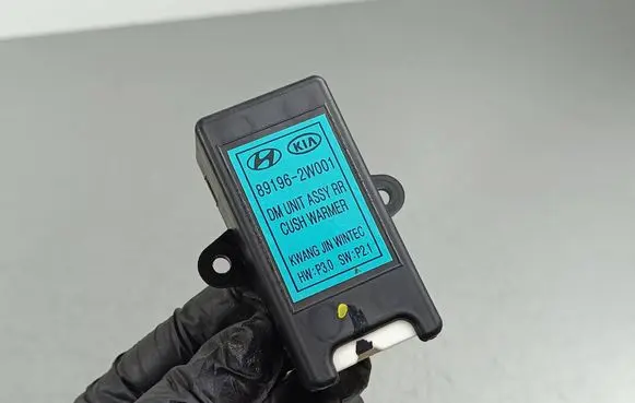 Hyundai Santa Fe Other control units/modules 891962W001
