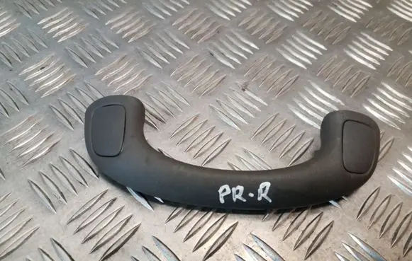 Front interior roof grab handle