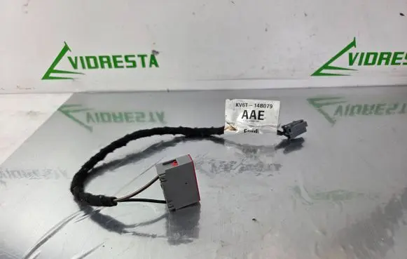 Other wiring loom