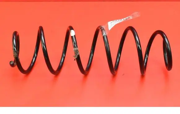 Renault Laguna III Rear coil spring 