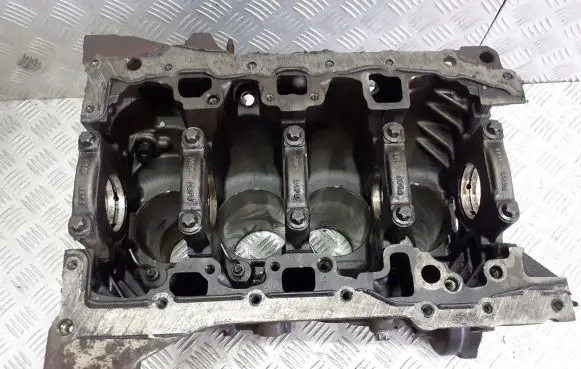 Renault Laguna III Engine block M9RA740538133