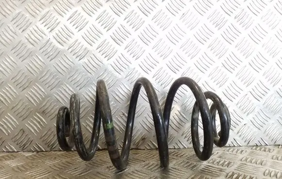 Rear coil spring