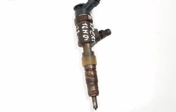 Peugeot Expert Fuel injector 0445110340 870692
