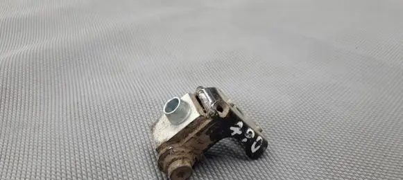 Peugeot 206+ Rear door lower hinge