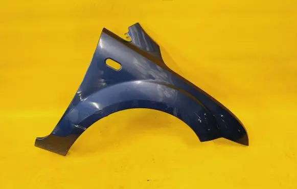 Ford Focus Fender