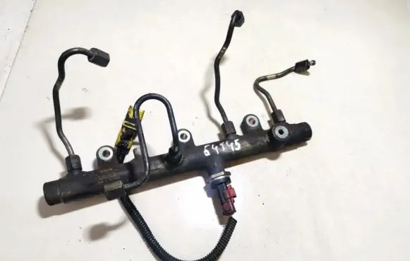 Citroen Xsara Picasso Fuel main line pipe 0445214019