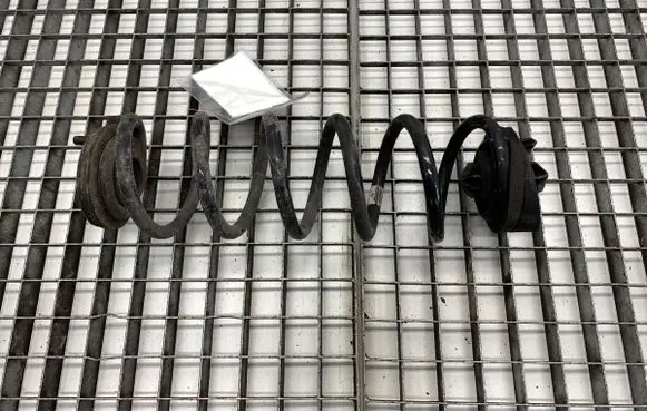 Rear coil spring