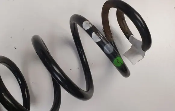 Rear coil spring