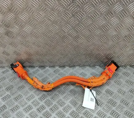 Tesla Model Y Other wiring loom 110900000E