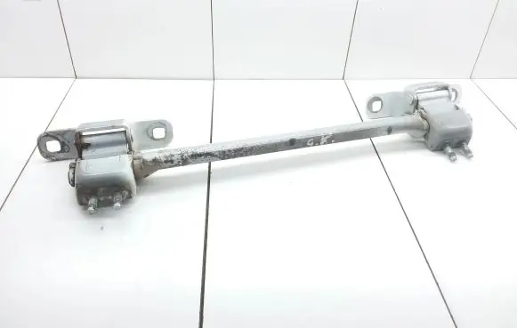 Rear door lower hinge