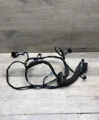 Front door wiring loom