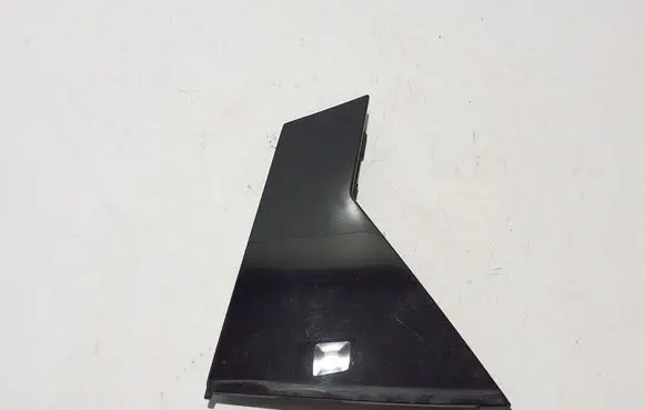 Rear door trim (molding)