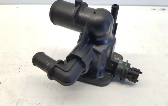 Thermostat/thermostat housing