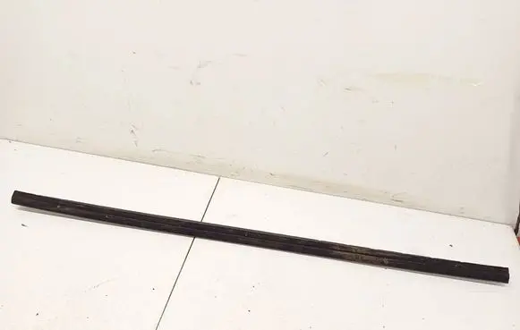 Peugeot RCZ Front door glass trim molding 