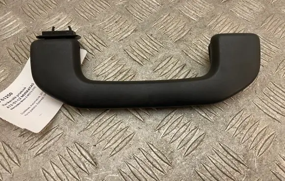 Front interior roof grab handle