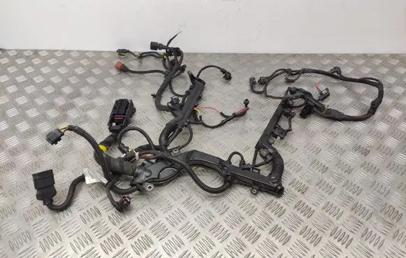Fiat 500X Engine installation wiring loom 00552649360