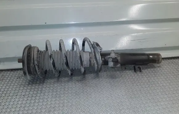 Peugeot 1007 Front shock absorber with coil spring