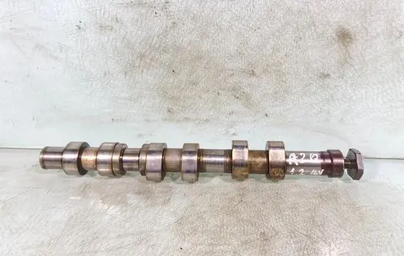 Skoda Fabia Mk2 (5J) Camshaft 16569a 0413975 A2q
