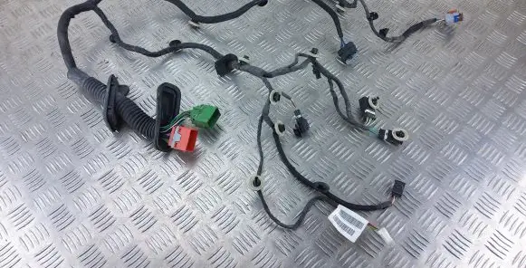 Peugeot 208 Front door wiring loom 9829143880