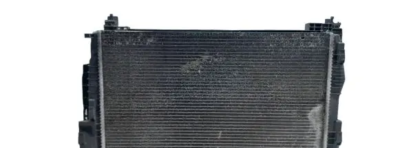 Renault Scenic II - Grand scenic II Coolant radiator 8200325007 880478J