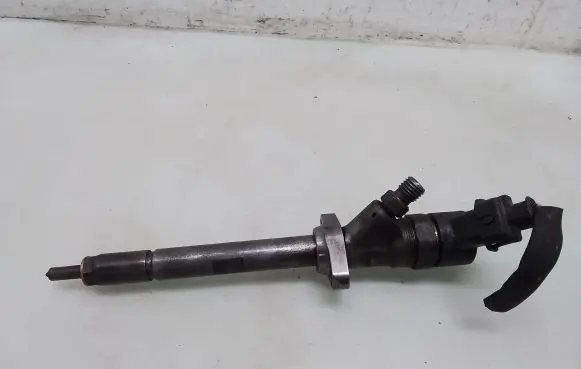 Peugeot 607 Fuel injector 0445110036