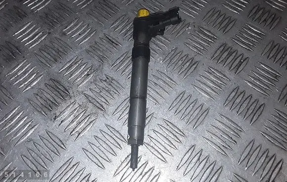 Citroen C6 Fuel injector 9687454480 0445116043