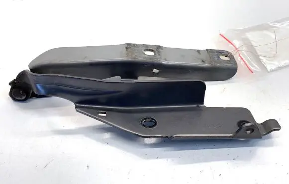 Infiniti Q50 Engine bonnet/hood hinges 