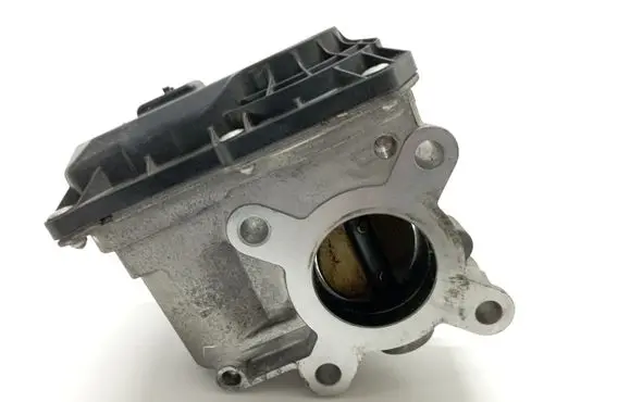 Renault Laguna II Throttle valve 8200619046 H8200620265