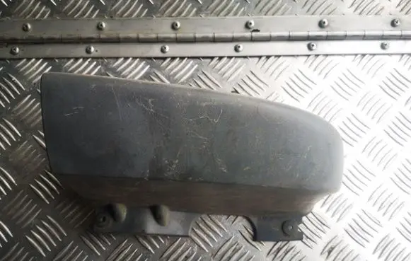 Rear/tail light trim molding