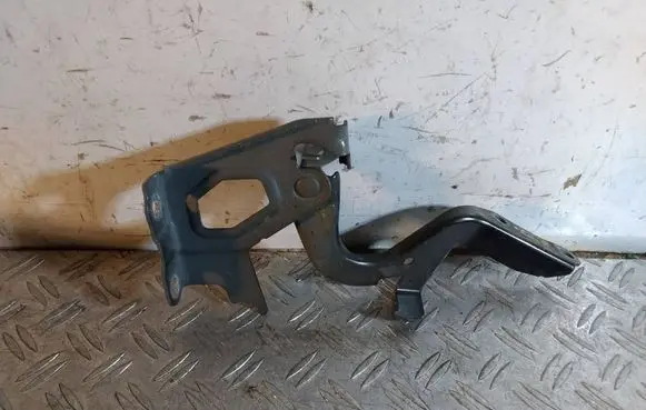 Toyota RAV 4 (XA40) Engine bonnet/hood hinges 