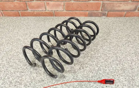 Coil spring mount