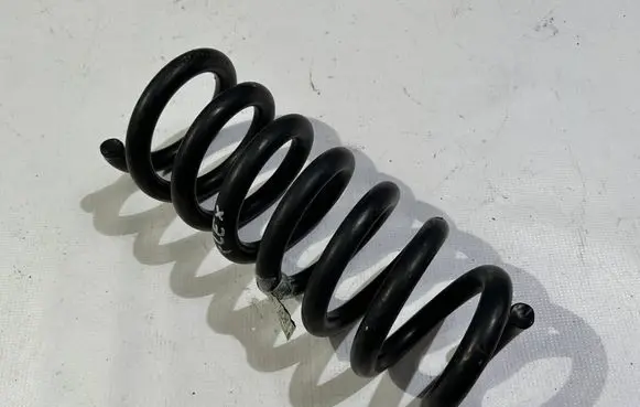 Ford Mustang V Rear coil spring DA83-5560-AB