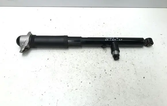 Chery 9/C9 Rear shock absorber/damper 202004402AA