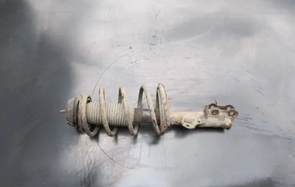 Hyundai i20 (PB PBT) Front shock absorber with coil spring 546501J000