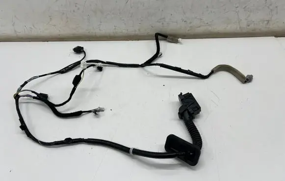 Front door wiring loom