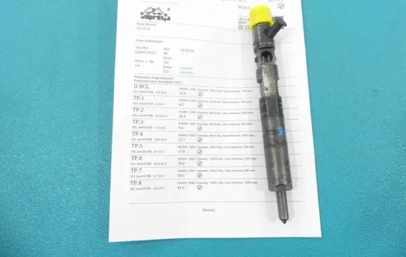 Renault Kangoo I Fuel injector EJBR02101Z IMPRK1273170