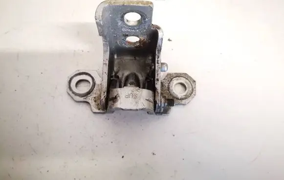 Renault Megane III Rear door lower hinge 804000016r