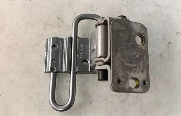 Rear door lower hinge