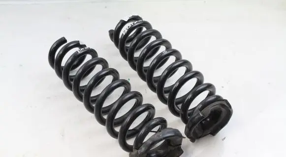 Rear coil spring