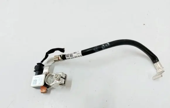 BMW 7 G11 G12 Negative earth cable (battery) 8795892